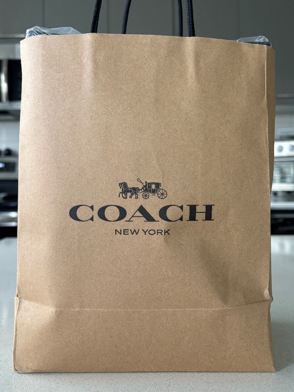 COACH Cargo Small Canvas Tote Bag 26 - Picture 2 of 7